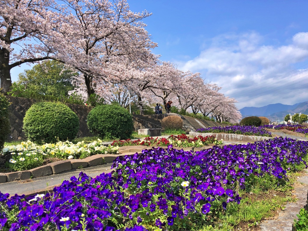 f:id:miwa3k:20200409103227j:plain