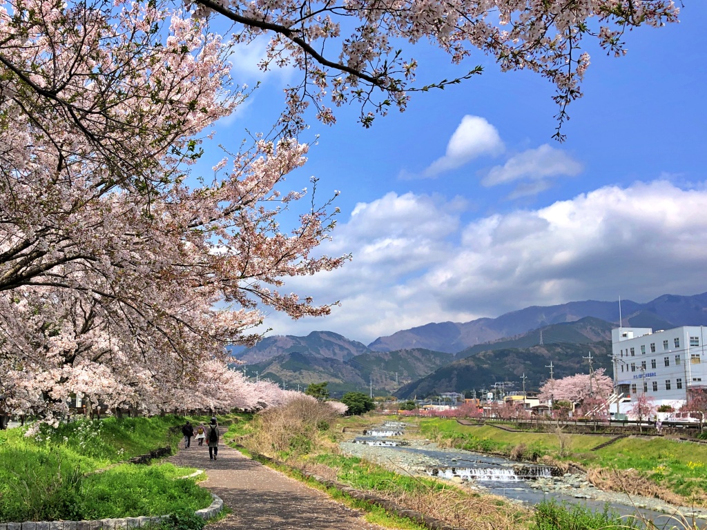 f:id:miwa3k:20200409103244j:plain