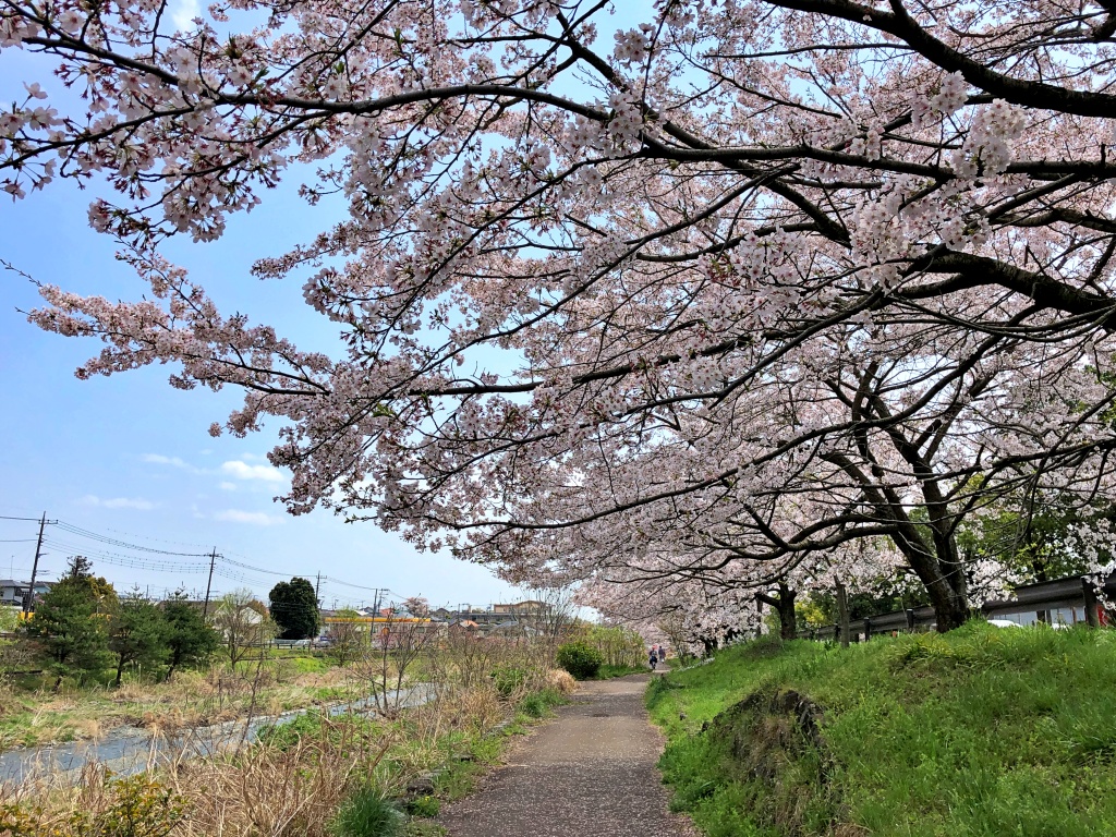 f:id:miwa3k:20200409103254j:plain