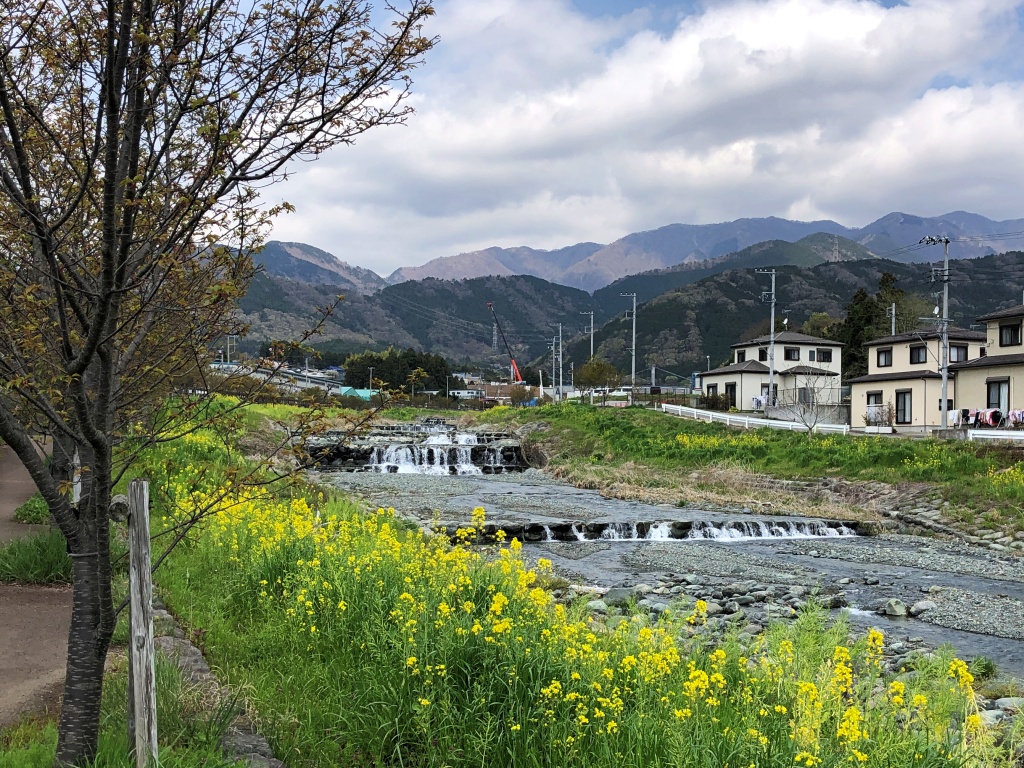 f:id:miwa3k:20200409103313j:plain