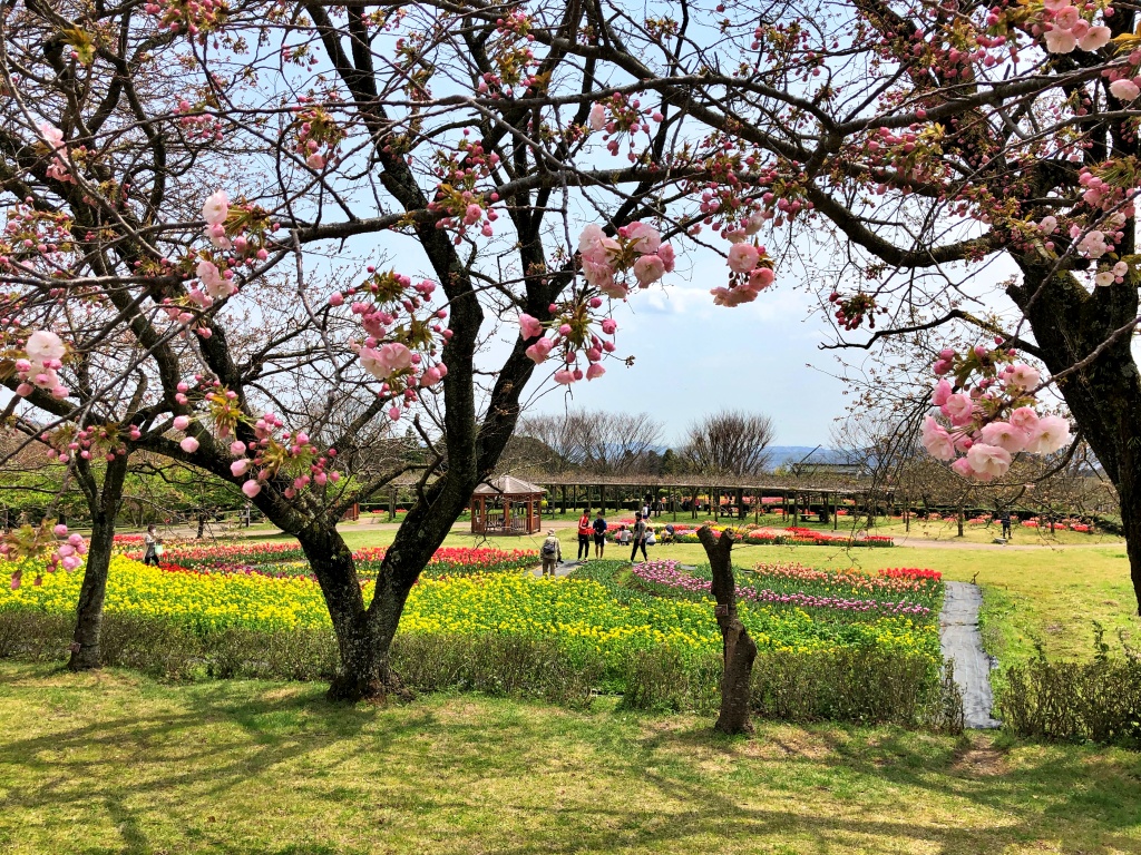 f:id:miwa3k:20200409103333j:plain