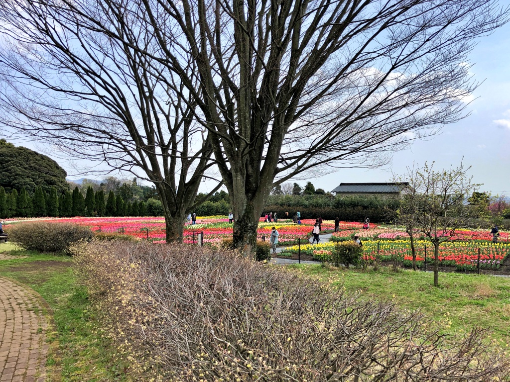 f:id:miwa3k:20200409103341j:plain