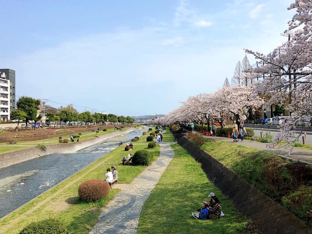f:id:miwa3k:20200409103646j:plain
