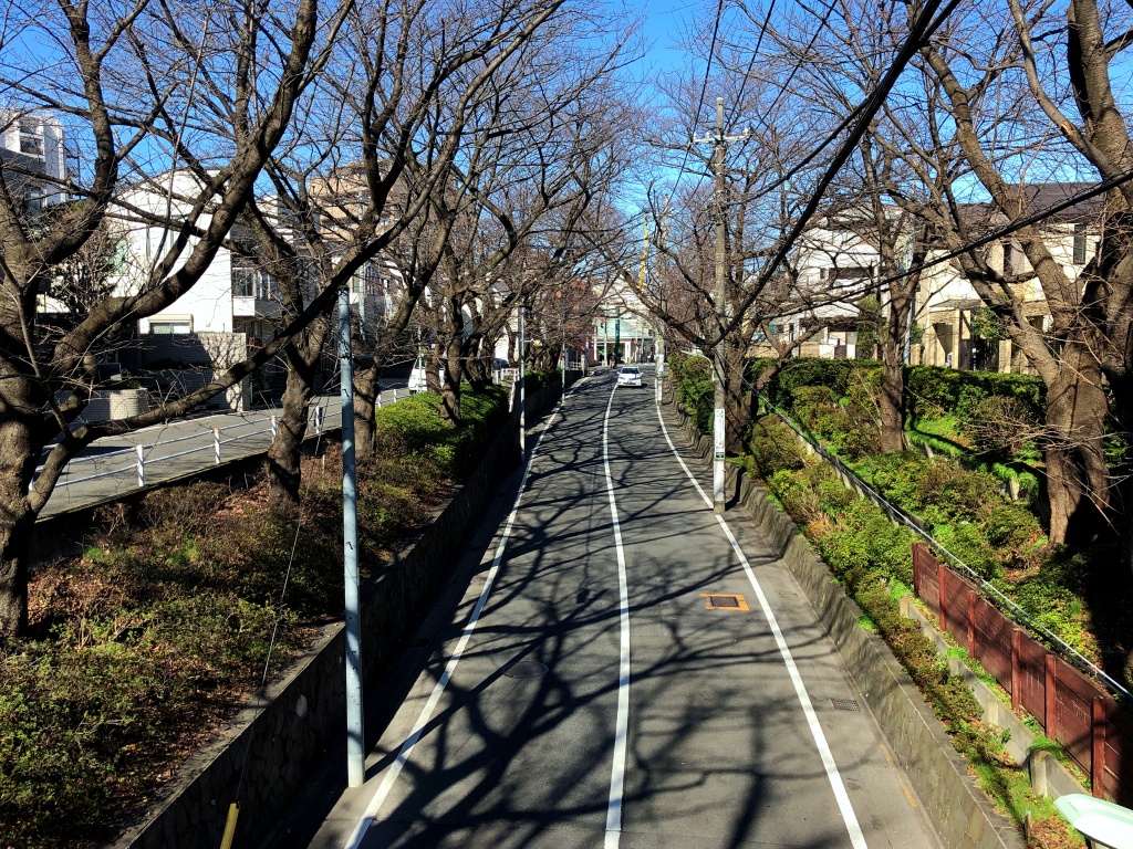 f:id:miwa3k:20200414185811j:plain