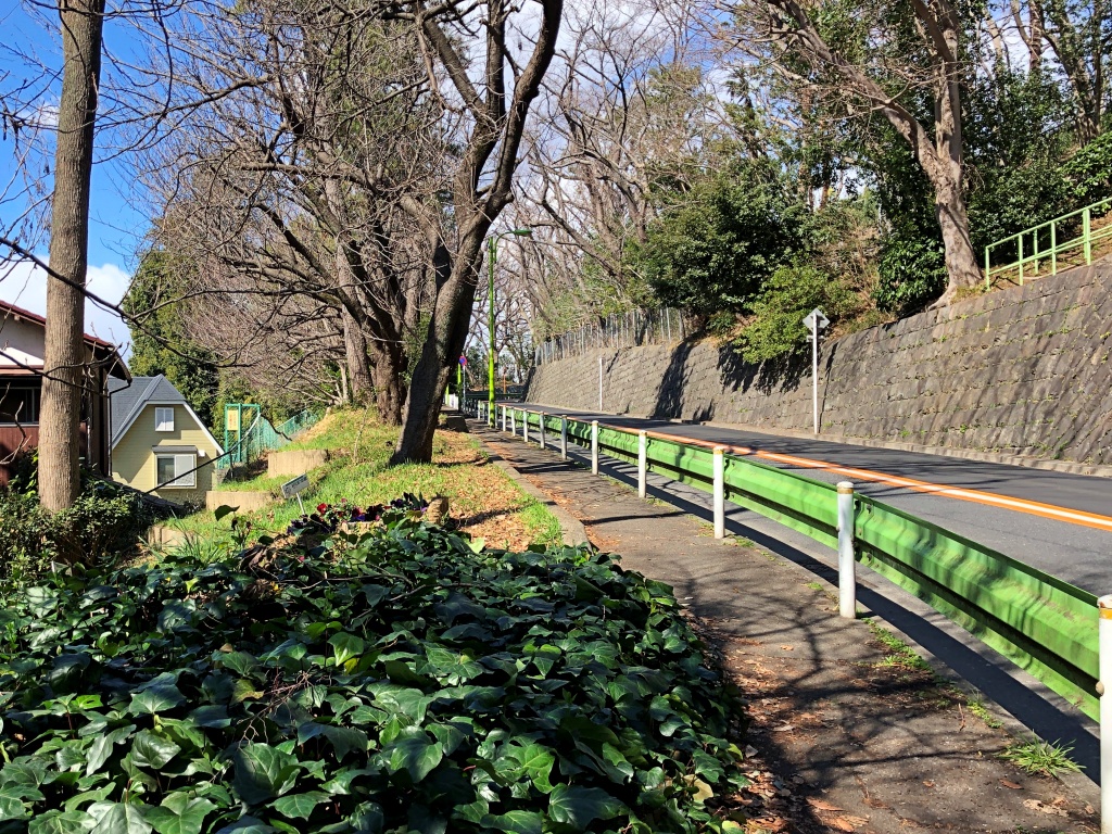 f:id:miwa3k:20200421120657j:plain