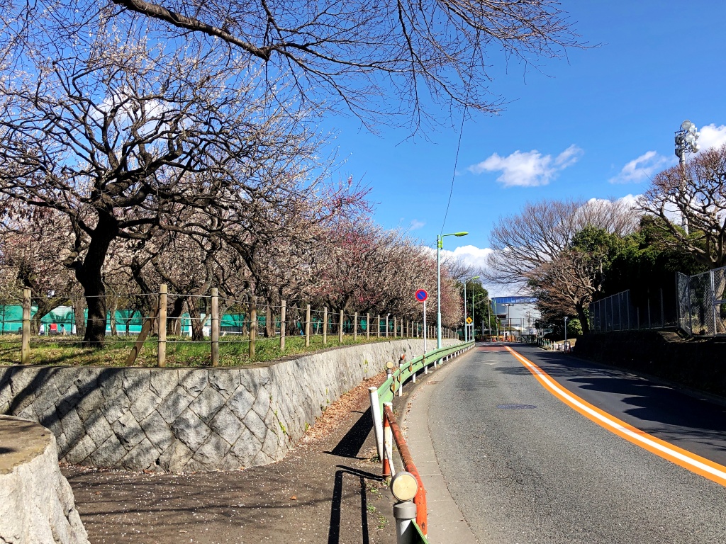 f:id:miwa3k:20200421120734j:plain