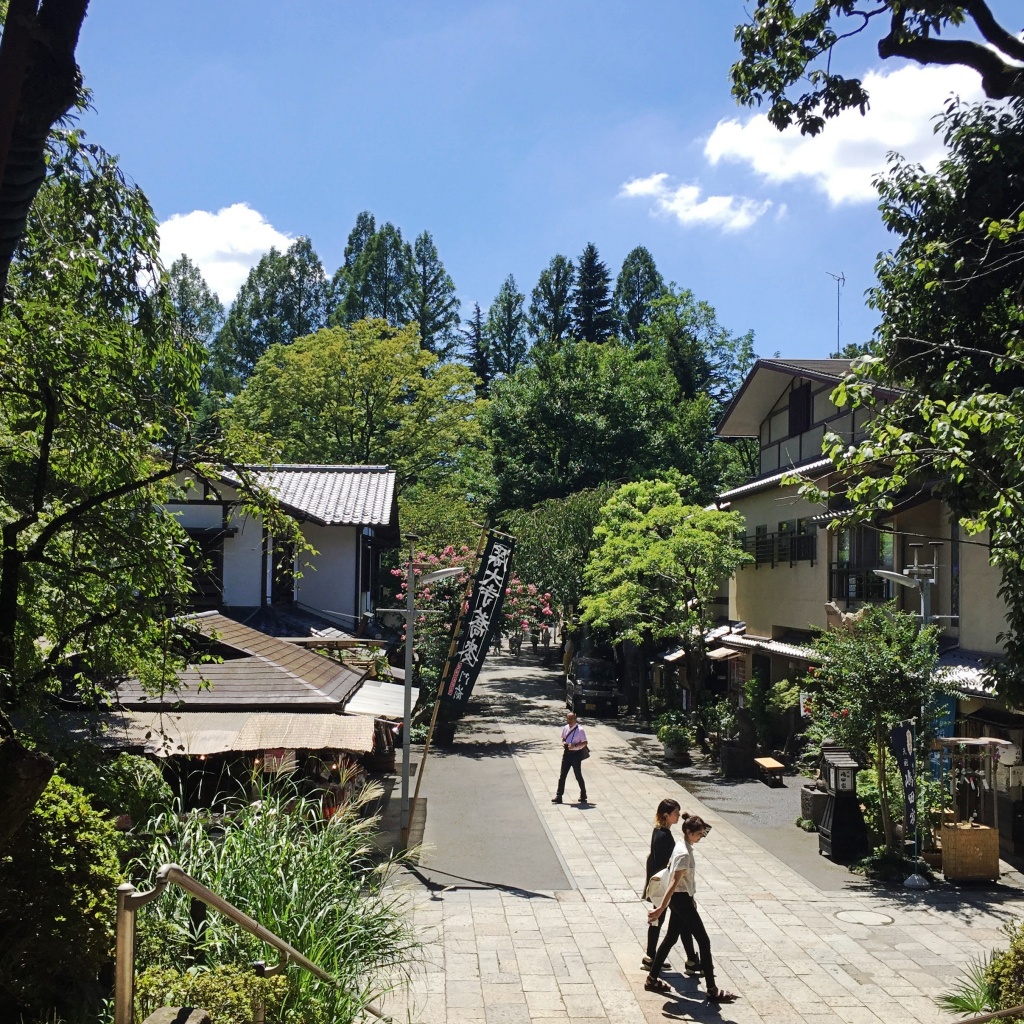 f:id:miwa3k:20200615190115j:plain