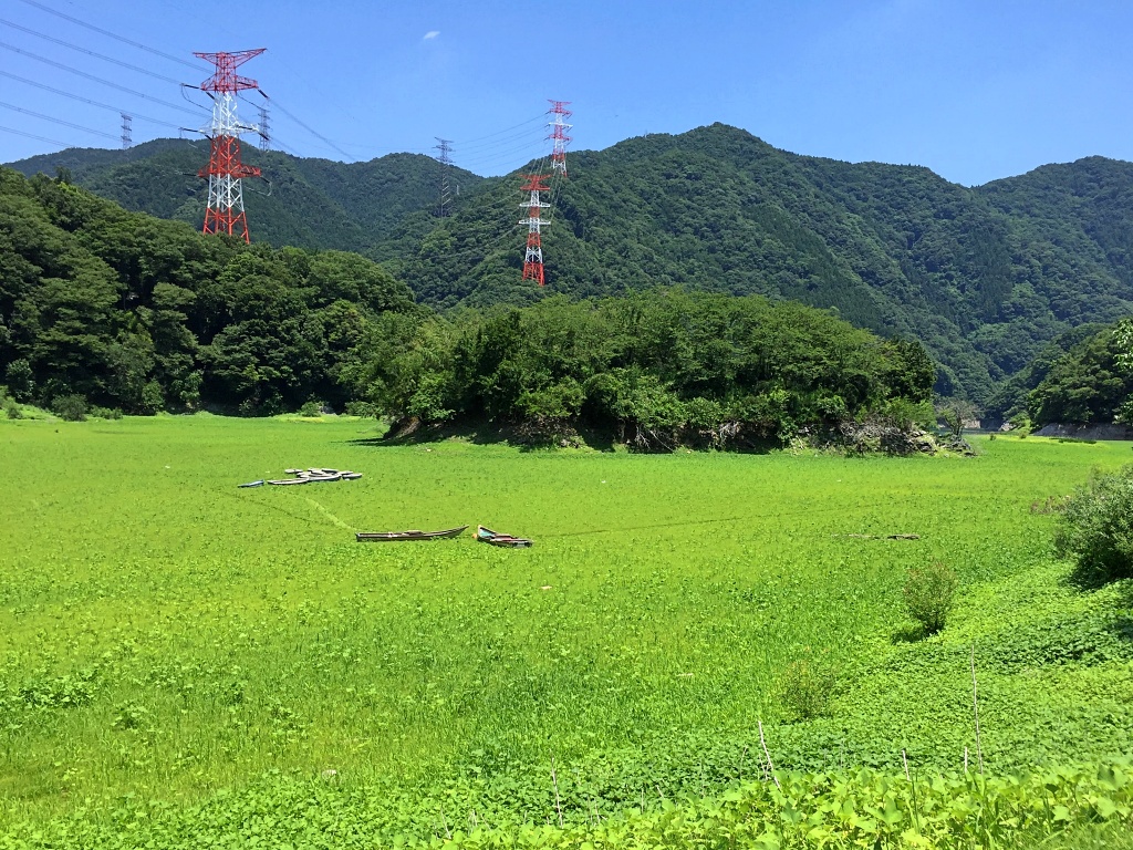f:id:miwa3k:20200615190146j:plain