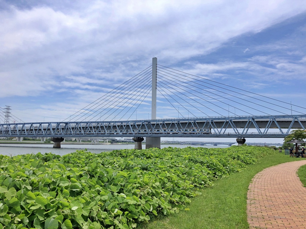 f:id:miwa3k:20200619185632j:plain