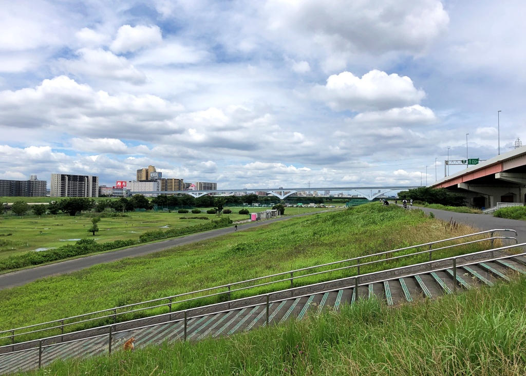 f:id:miwa3k:20200627171109j:plain f:id:miwa3k:20200627171109j:plain