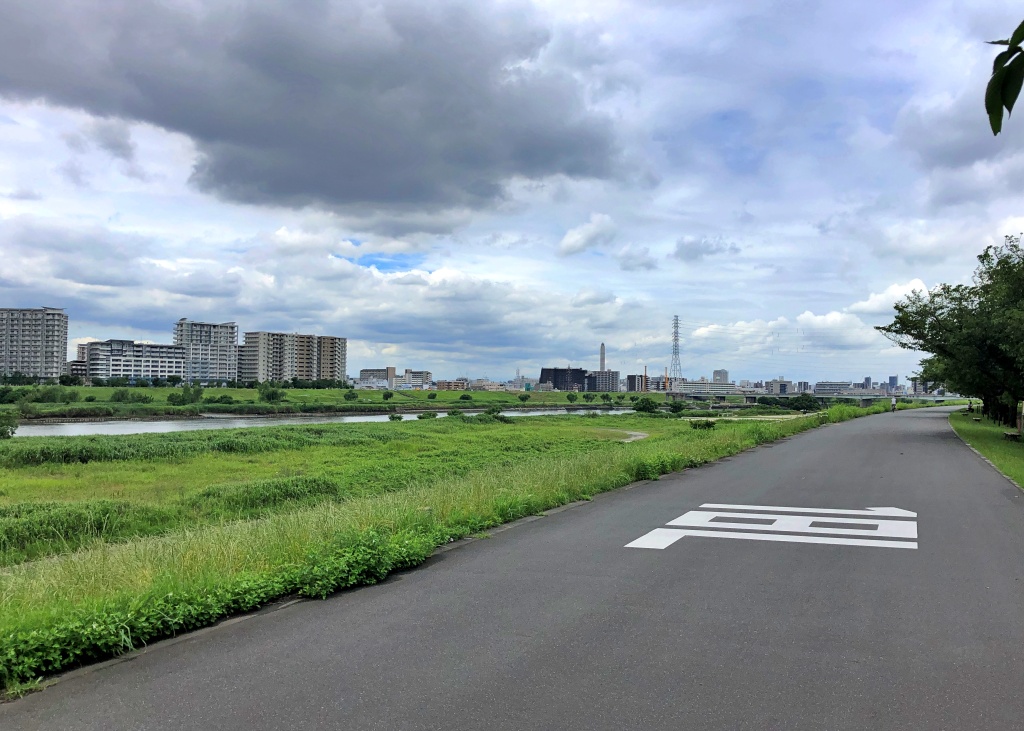 f:id:miwa3k:20200627171233j:plain f:id:miwa3k:20200627171233j:plain