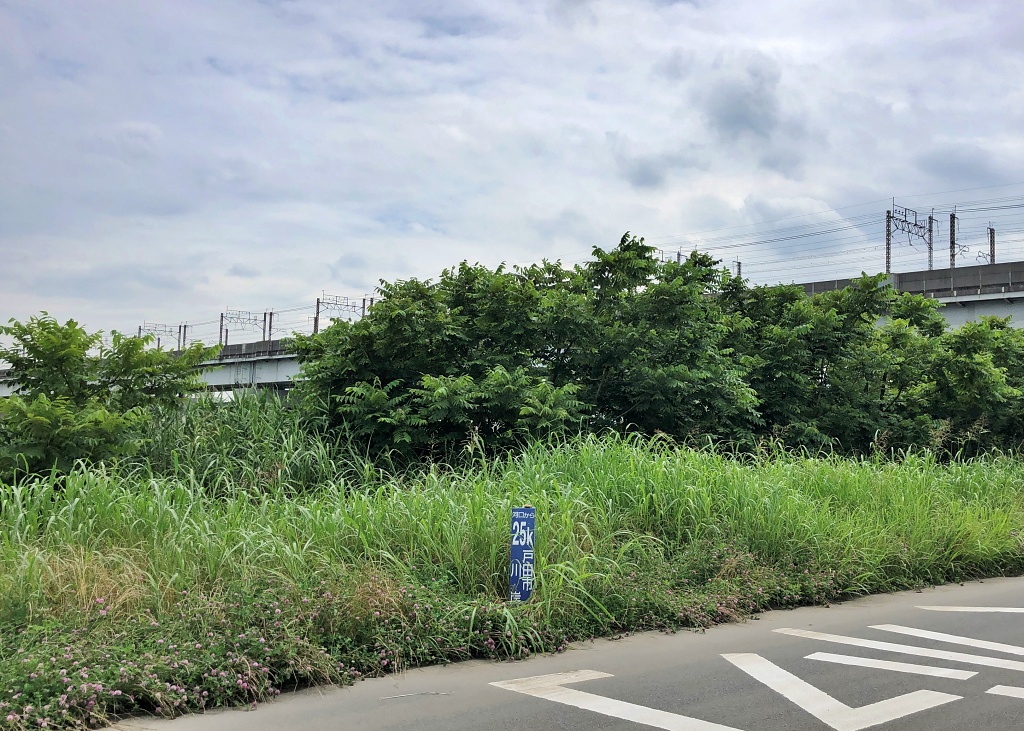f:id:miwa3k:20200701114219j:plain
