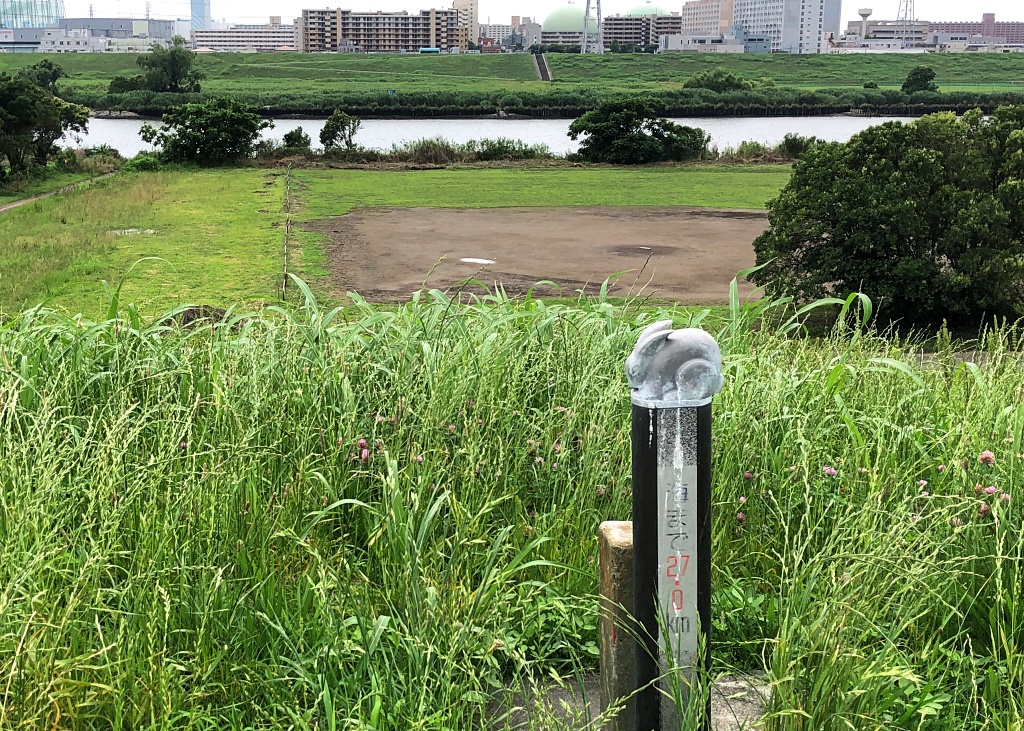f:id:miwa3k:20200701114257j:plain