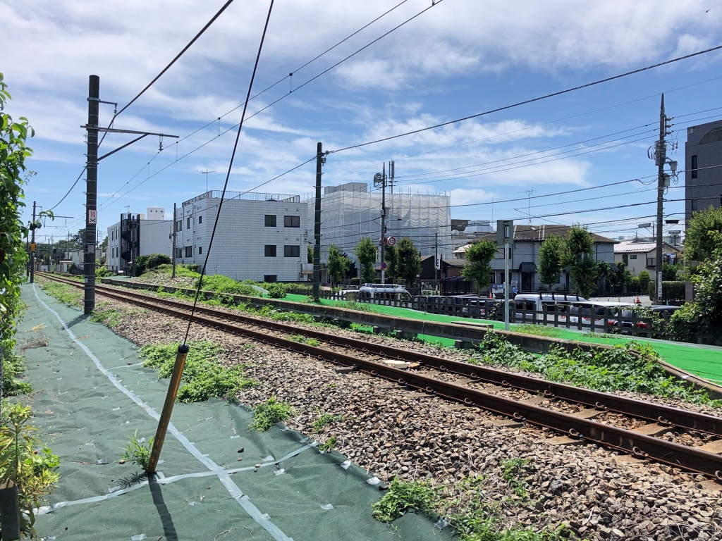 f:id:miwa3k:20200704142215j:plain