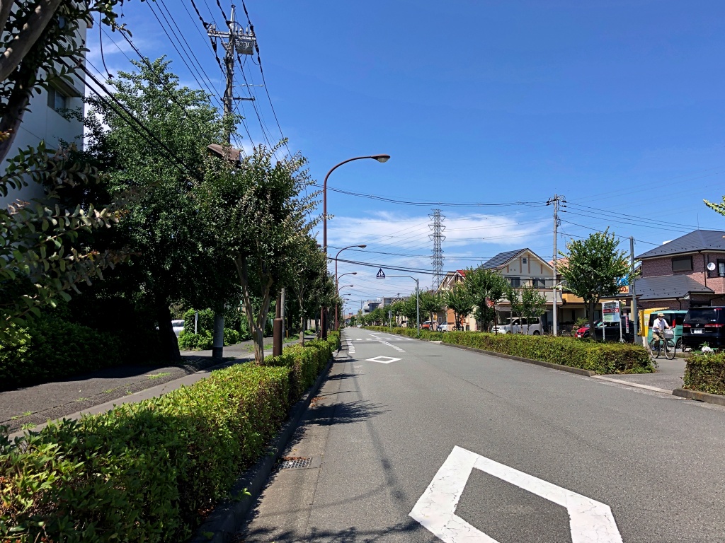 f:id:miwa3k:20200709145321j:plain f:id:miwa3k:20200709145321j:plain