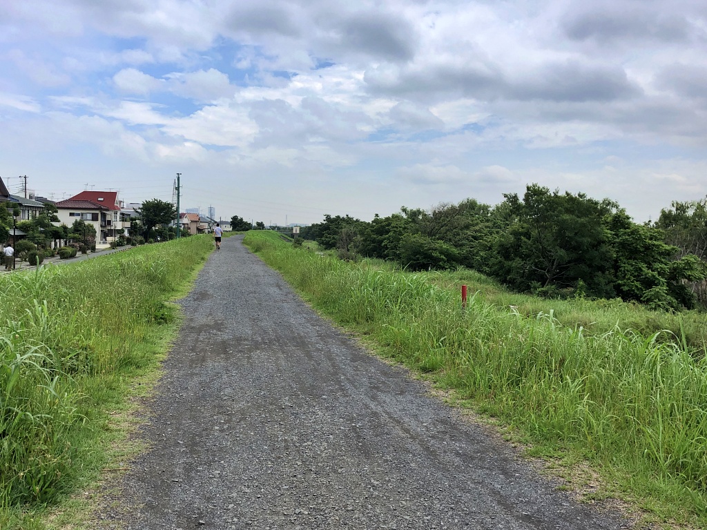 f:id:miwa3k:20200715172432j:plain