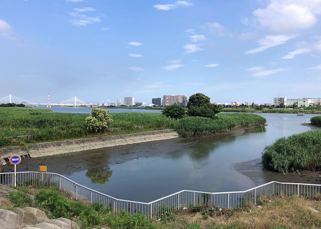 f:id:miwa3k:20200715172852j:plain