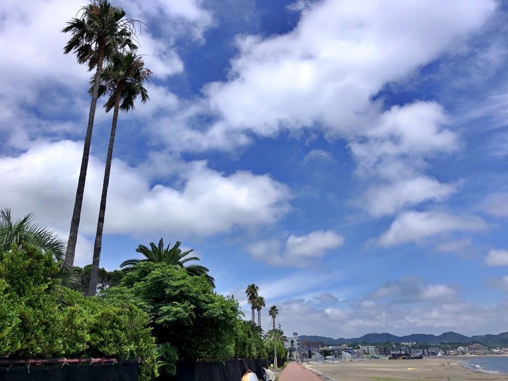 f:id:miwa3k:20200720184705j:plain
