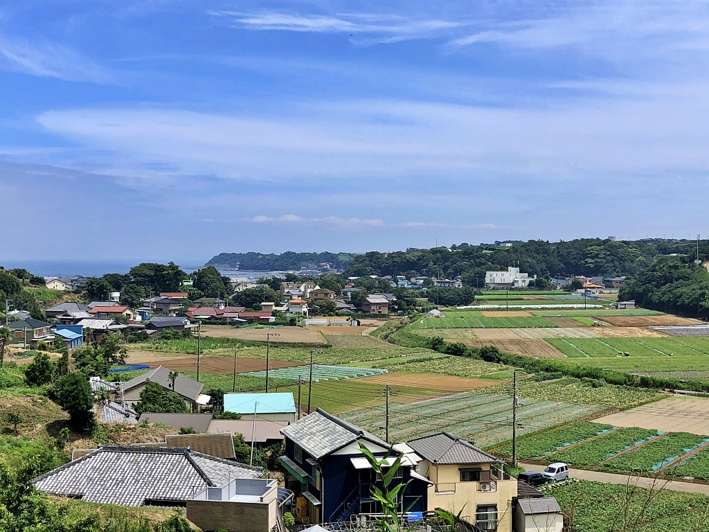 f:id:miwa3k:20200720184908j:plain