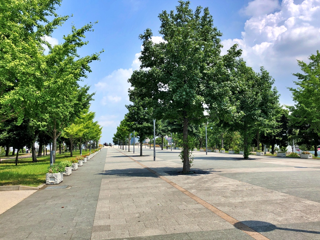 f:id:miwa3k:20200823155707j:plain