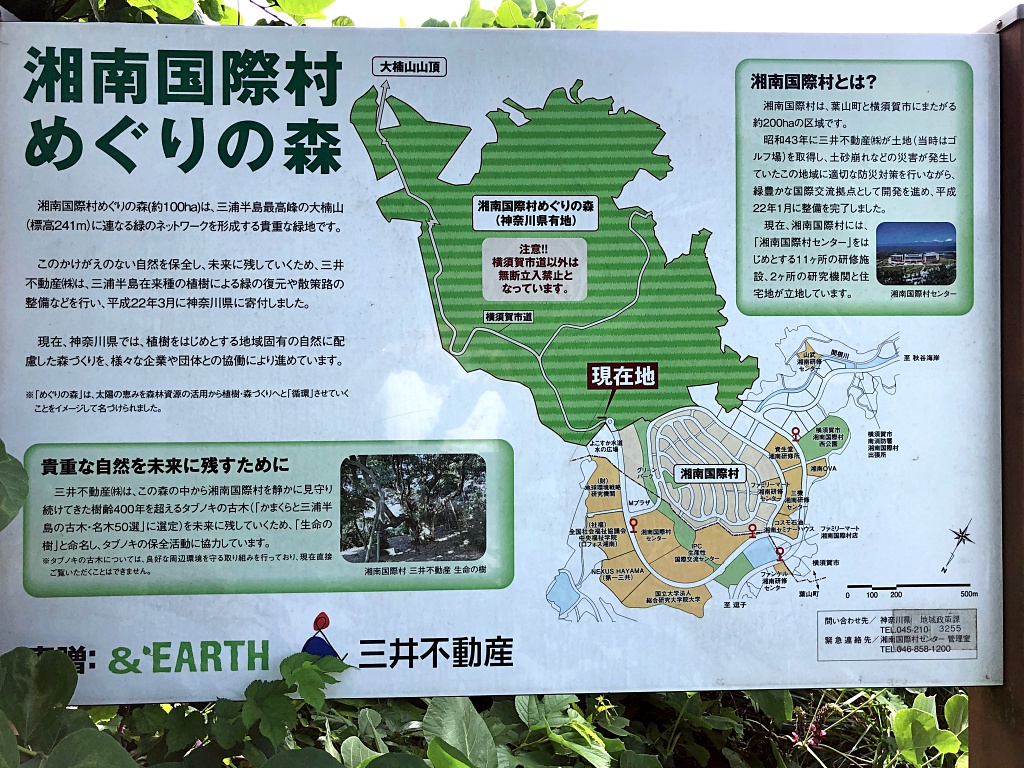 f:id:miwa3k:20200918172546j:plain