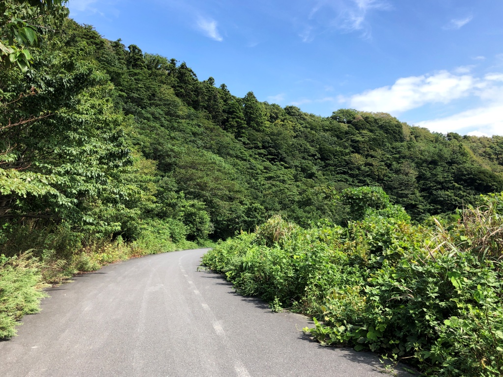 f:id:miwa3k:20200918172607j:plain