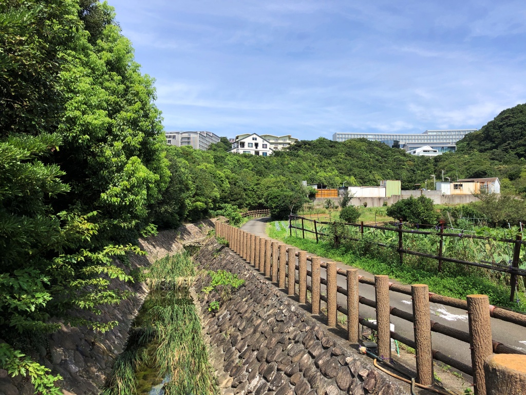 f:id:miwa3k:20200918172723j:plain