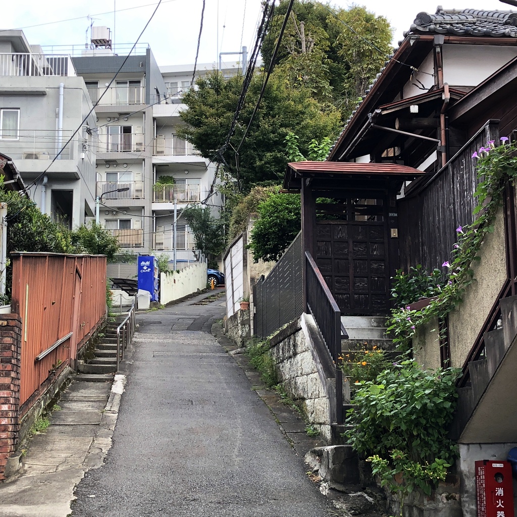 f:id:miwa3k:20200930110312j:plain