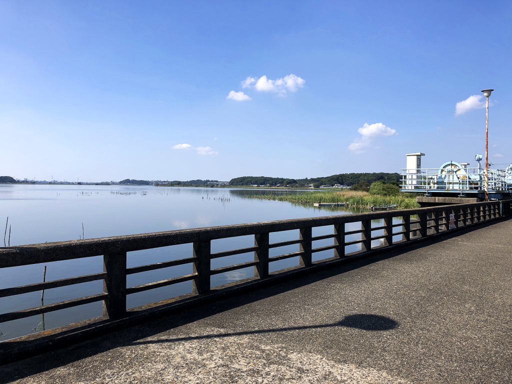 f:id:miwa3k:20201005181416j:plain f:id:miwa3k:20201005181416j:plain