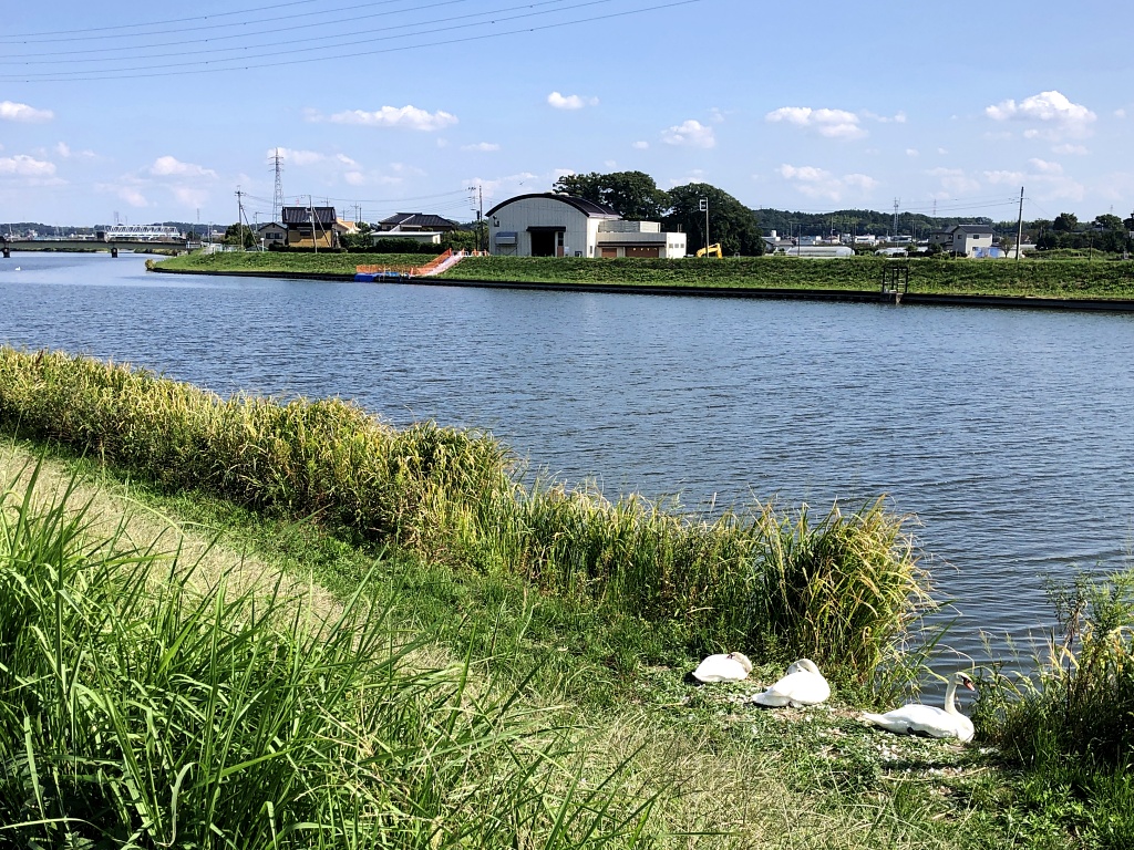 f:id:miwa3k:20201005181500j:plain f:id:miwa3k:20201005181500j:plain