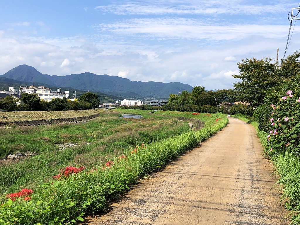 f:id:miwa3k:20201013213737j:plain