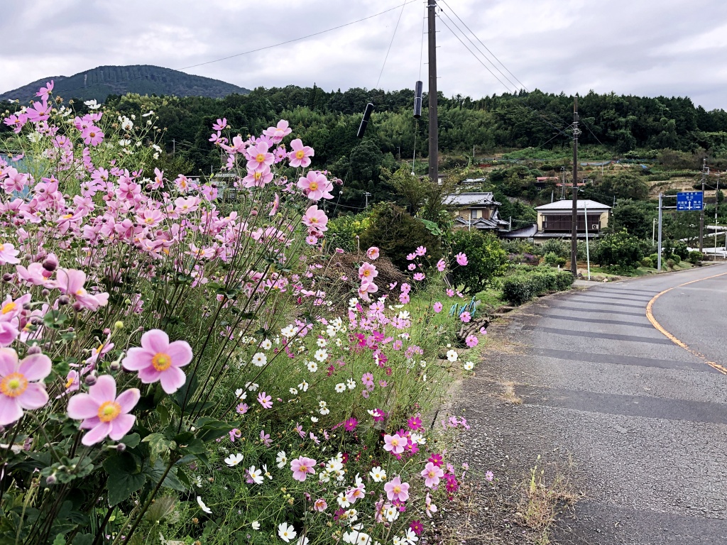 f:id:miwa3k:20201013214052j:plain