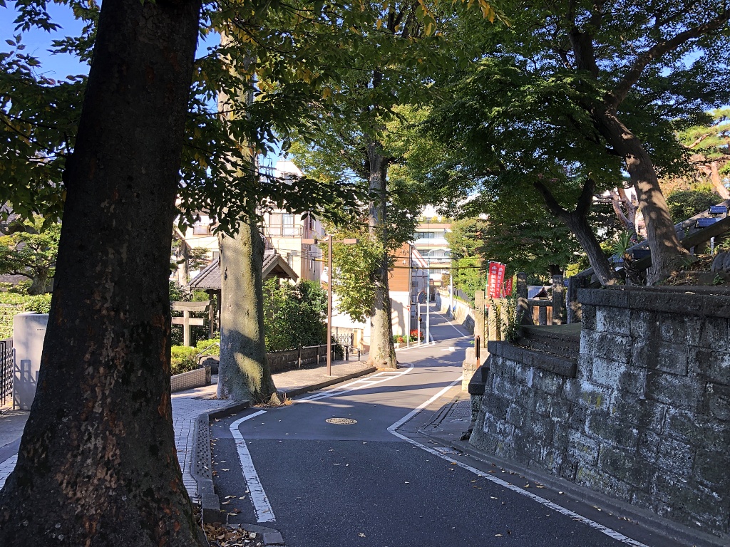 f:id:miwa3k:20201111180719j:plain