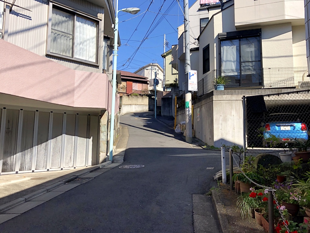 f:id:miwa3k:20201111180758j:plain
