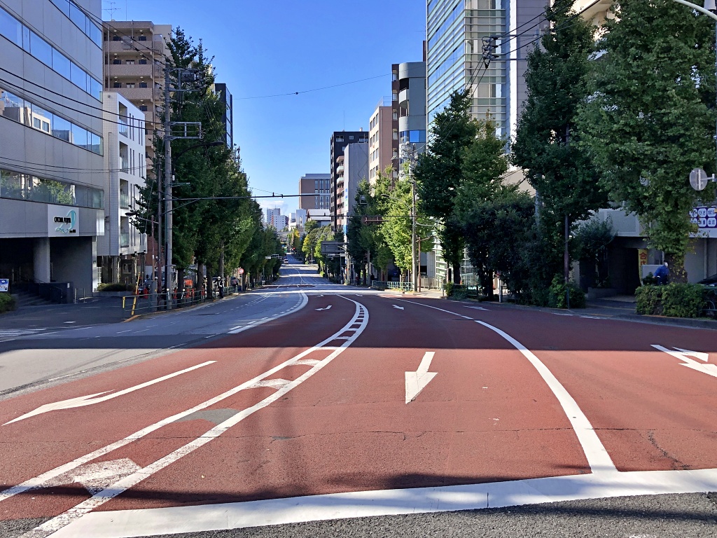 f:id:miwa3k:20201114160142j:plain