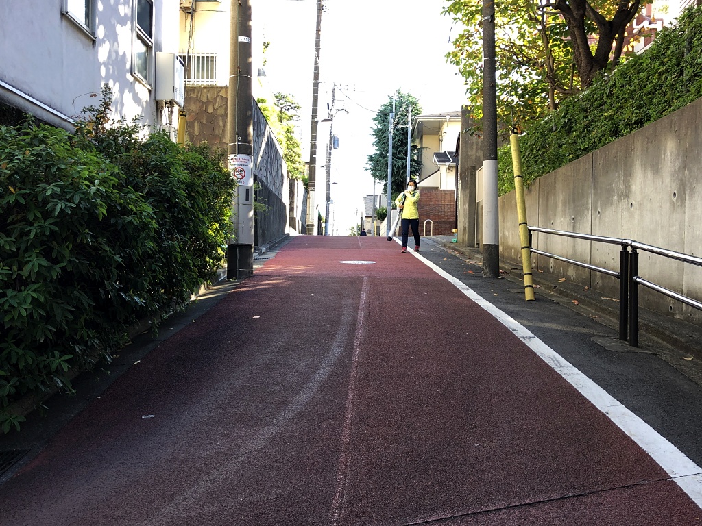 f:id:miwa3k:20201122181207j:plain