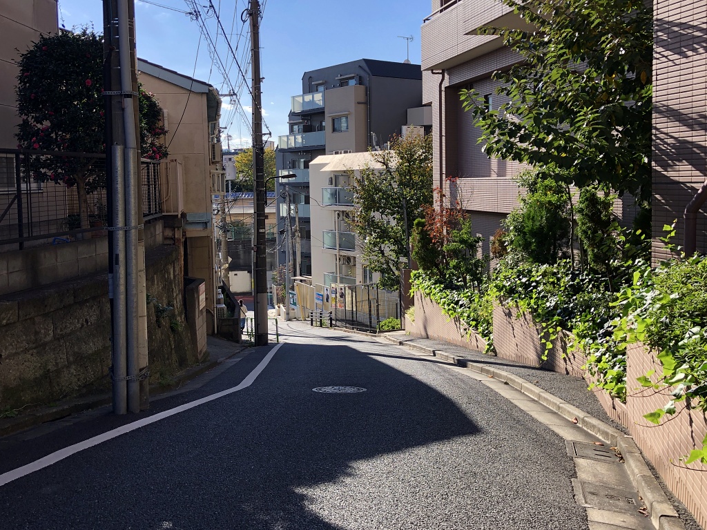 f:id:miwa3k:20201122181423j:plain