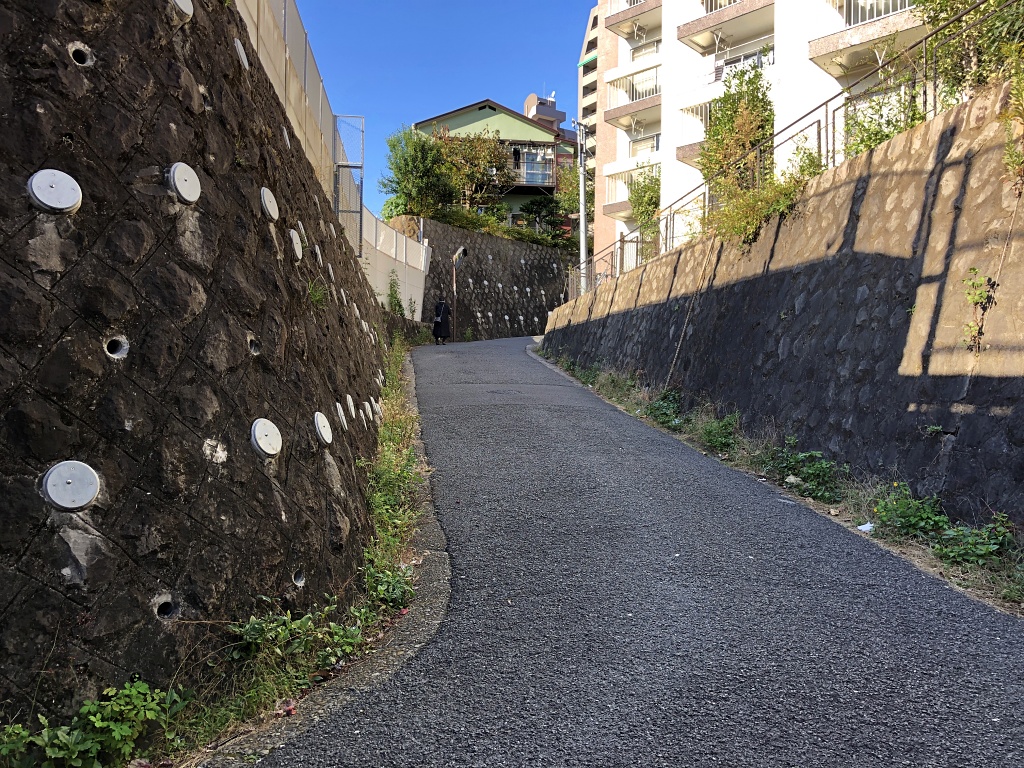 f:id:miwa3k:20201122181453j:plain
