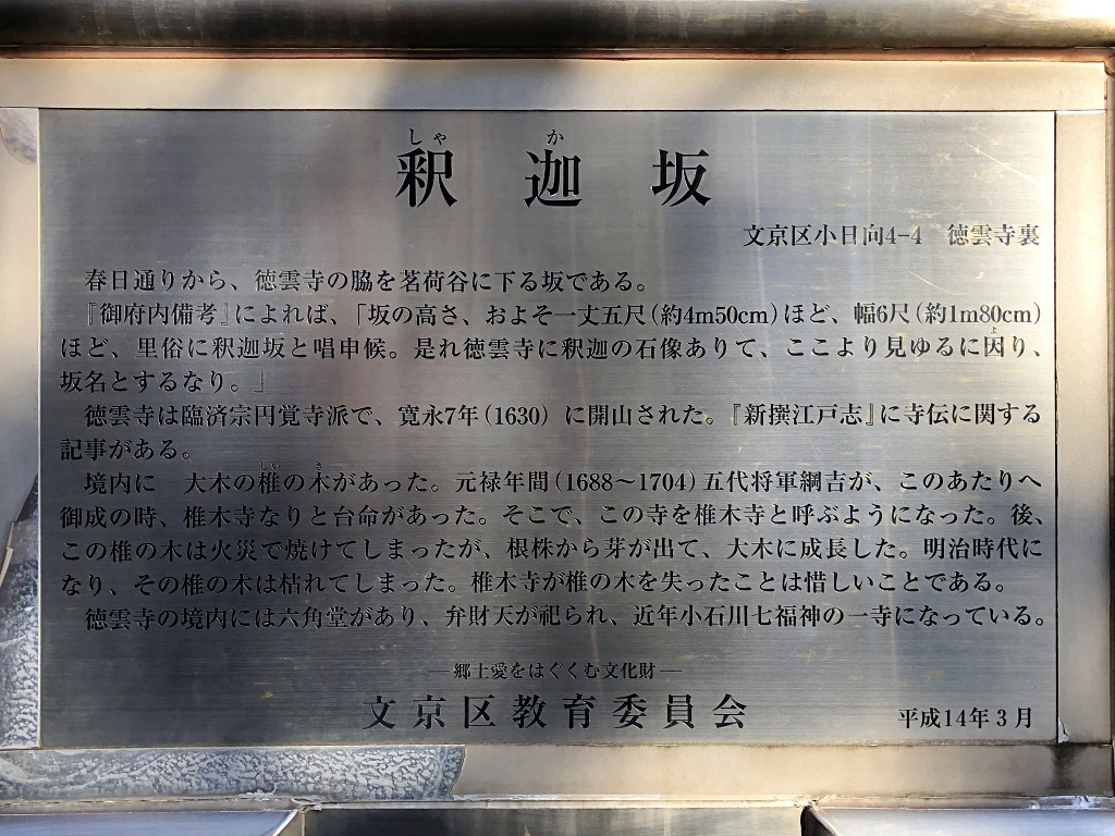 f:id:miwa3k:20201122181537j:plain