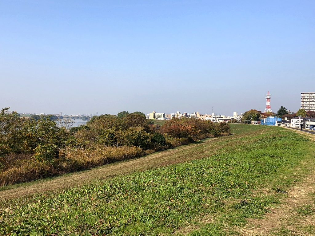 f:id:miwa3k:20201204183319j:plain