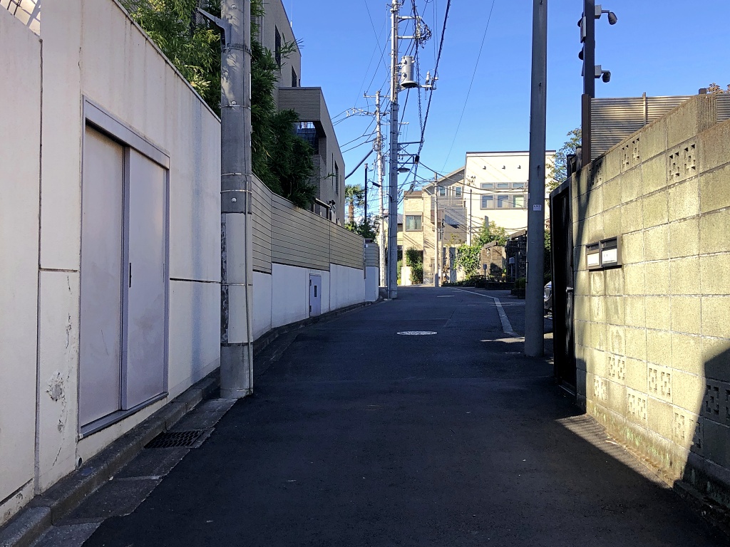 f:id:miwa3k:20201212145747j:plain