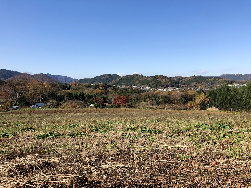 f:id:miwa3k:20201216105113j:plain