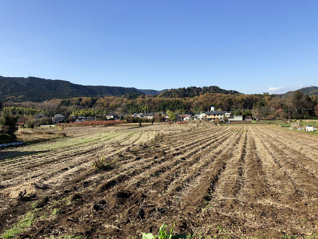 f:id:miwa3k:20201216105122j:plain