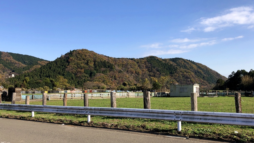 f:id:miwa3k:20201216105148j:plain