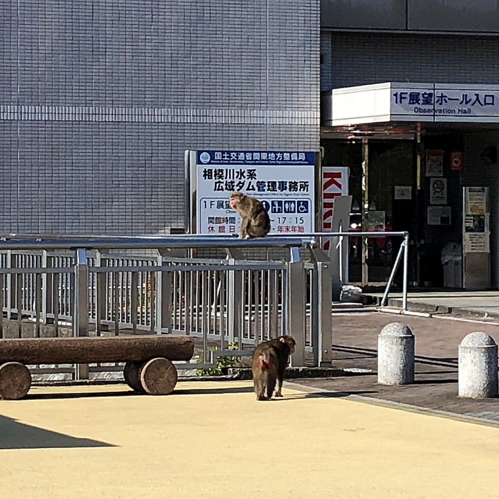 f:id:miwa3k:20201216105340j:plain