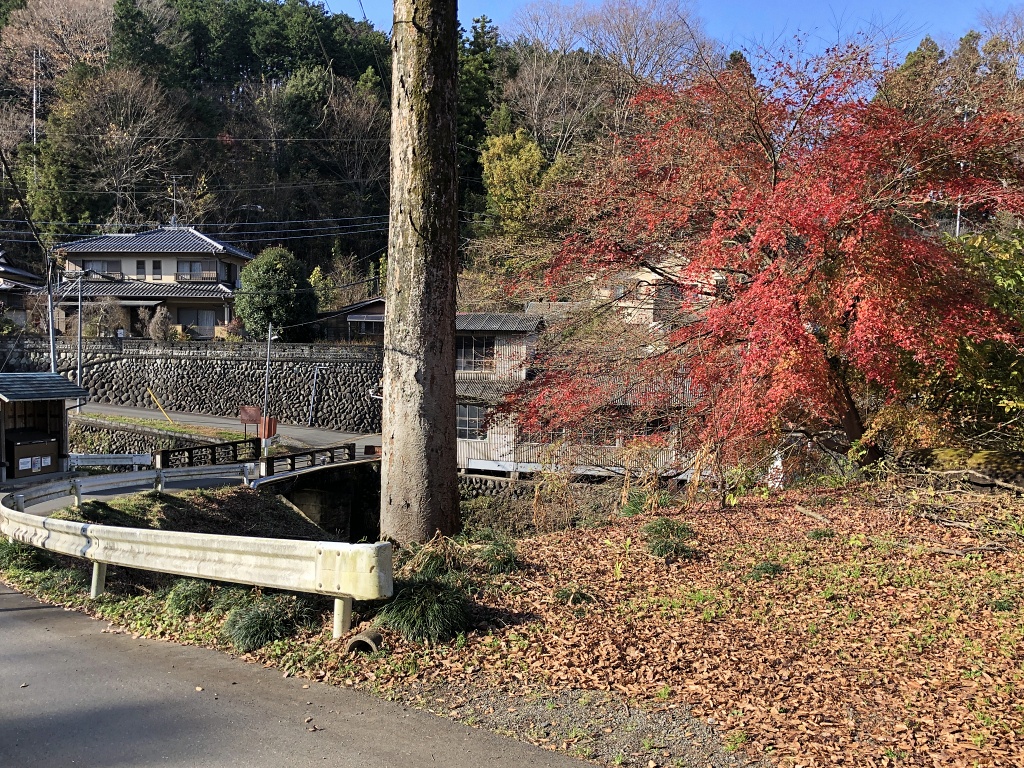 f:id:miwa3k:20201216105425j:plain
