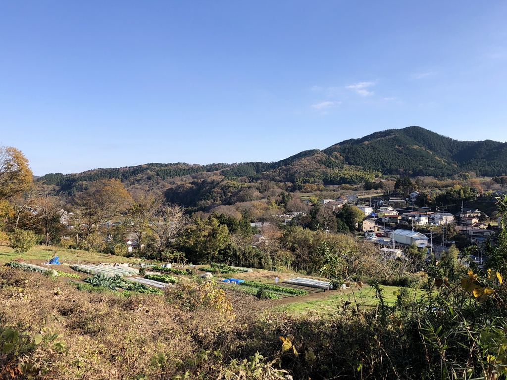 f:id:miwa3k:20201216105436j:plain