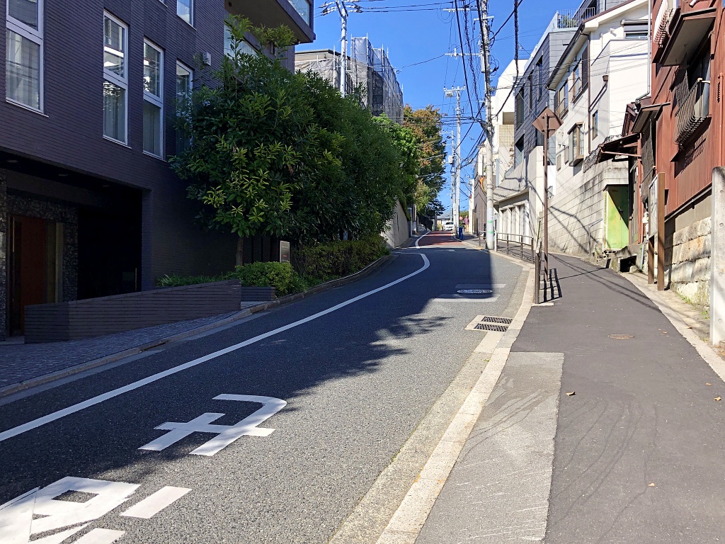f:id:miwa3k:20201219103222j:plain