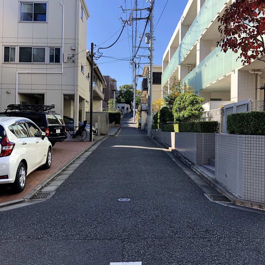 f:id:miwa3k:20201219103451j:plain