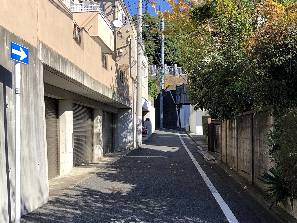 f:id:miwa3k:20201219103500j:plain